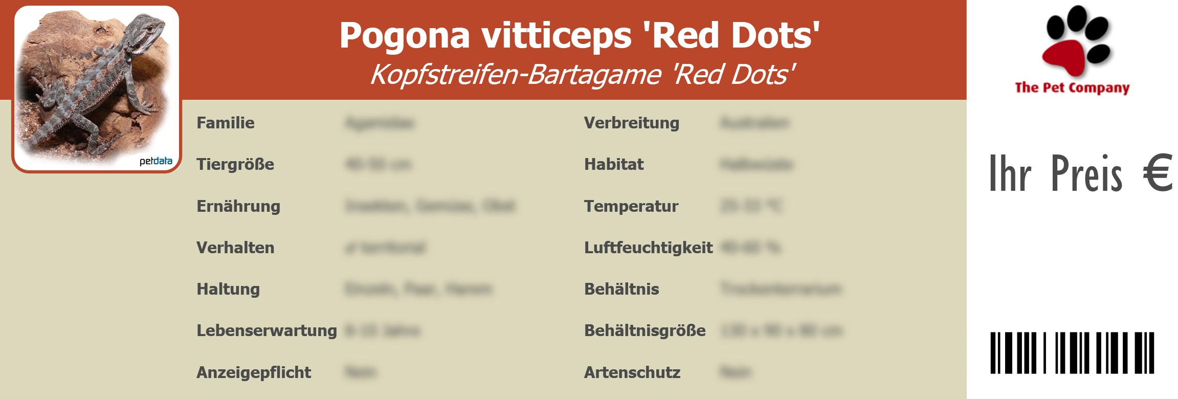 Pogona vitticeps 'Red Dots' Kopfstreifen-Bartagame 'Red Dots' 195 x 66 mm