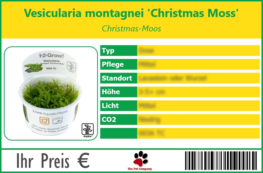 Vesicularia montagnei 'Christmas Moss' Christmas-Moos 90 x 60 mm