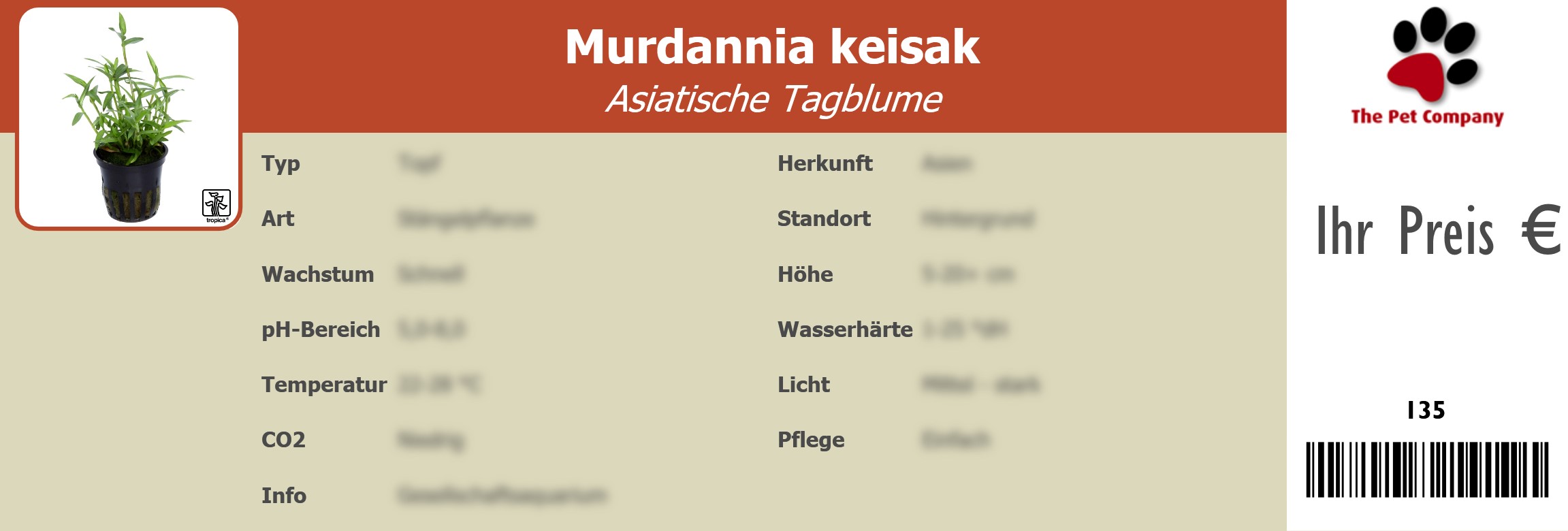 Murdannia keisak Asiatische Tagblume 195 x 66 mm