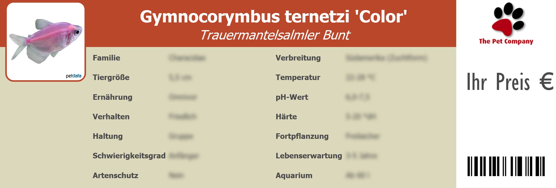 Gymnocorymbus ternetzi 'Color' Trauermantelsalmler Bunt 195 x 66 mm