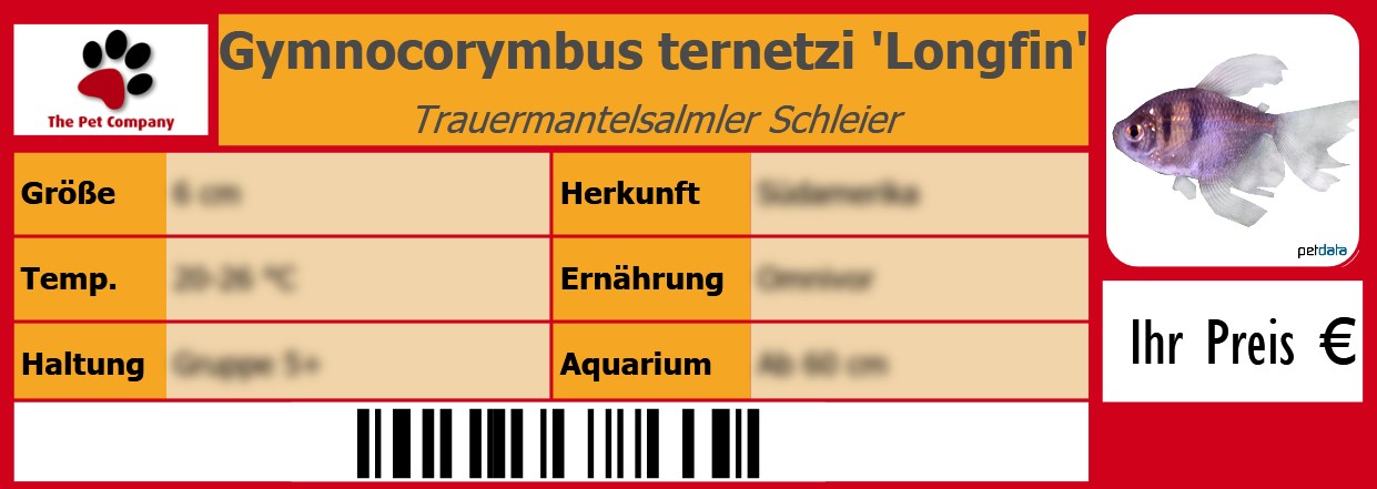 Gymnocorymbus ternetzi 'Longfin' Trauermantelsalmler Schleier 105 x 38 mm