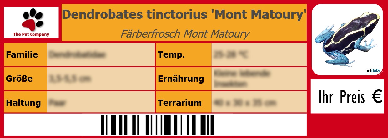 Dendrobates tinctorius 'Mont Matoury' Färberfrosch Mont Matoury 105 x 38 mm