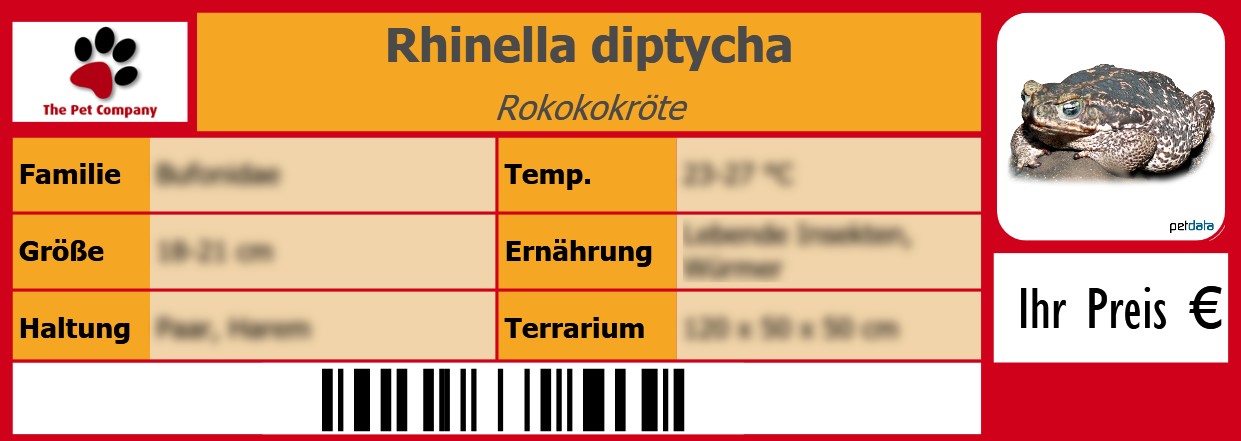 Rhinella diptycha Rokokokröte 105 x 38 mm