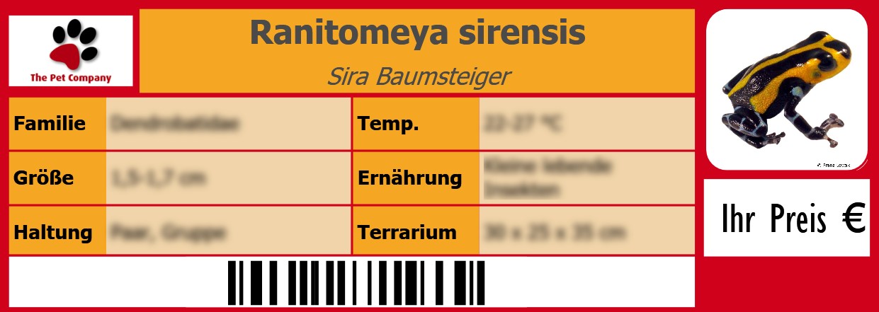 Ranitomeya sirensis Sira Baumsteiger 105 x 38 mm