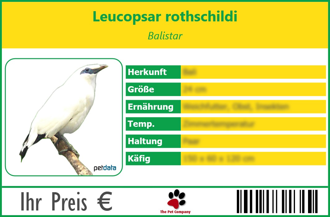 Leucopsar rothschildi Balistar 90 x 60 mm