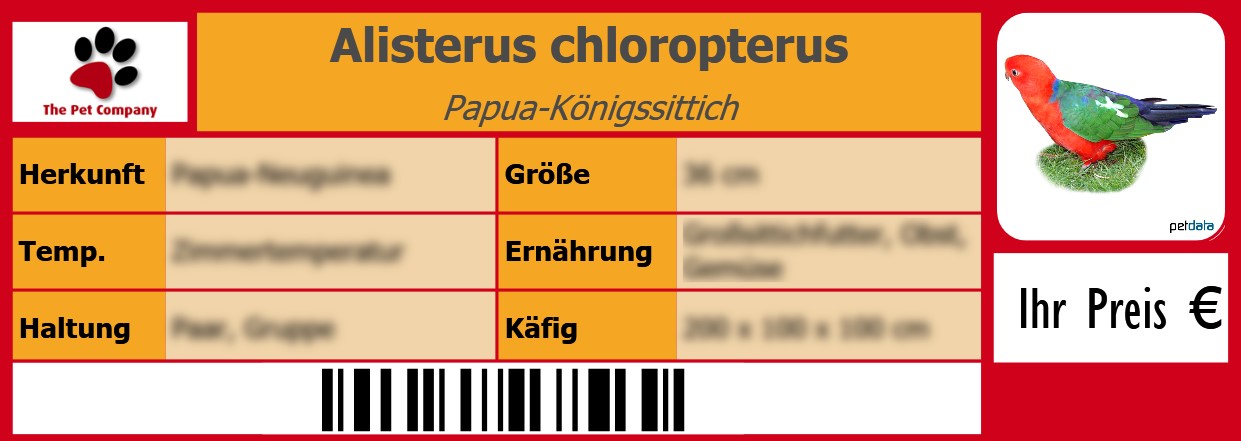 Alisterus chloropterus Papua-Königssittich 105 x 38 mm