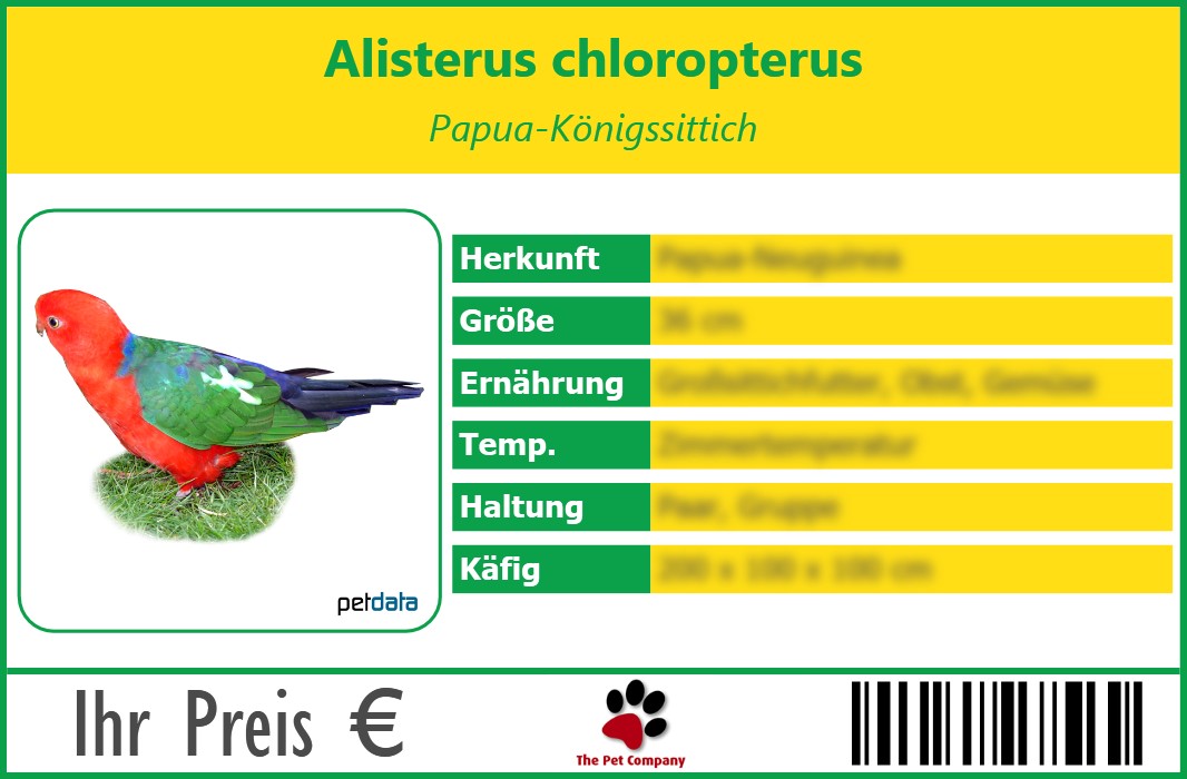 Alisterus chloropterus Papua-Königssittich 90 x 60 mm