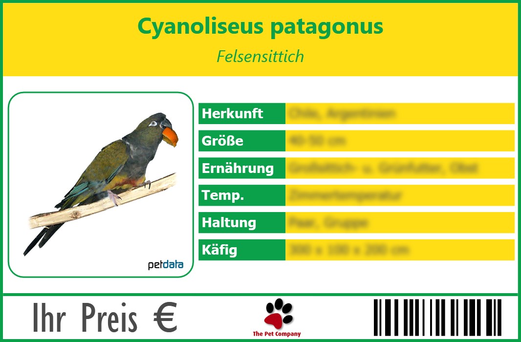 Cyanoliseus patagonus Felsensittich 90 x 60 mm