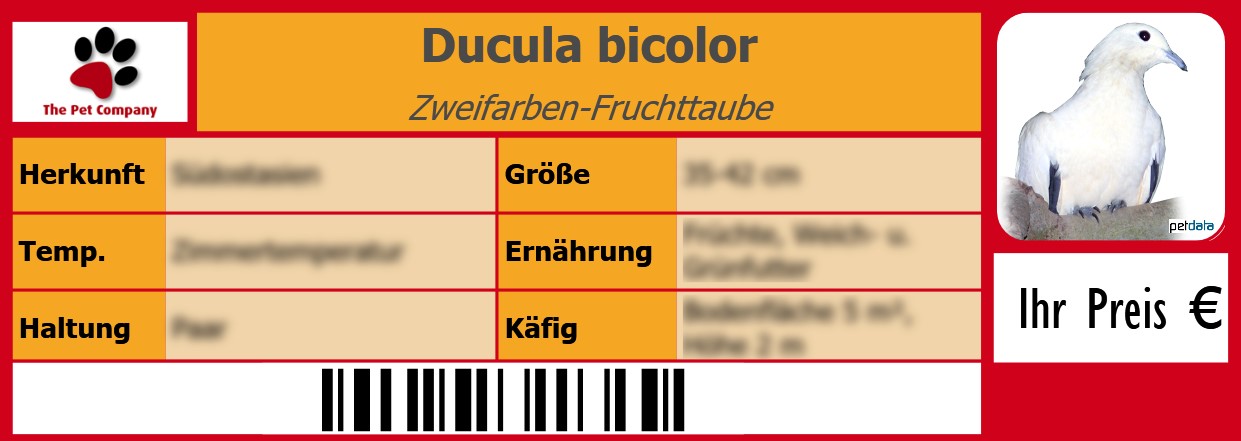 Ducula bicolor Zweifarben-Fruchttaube 105 x 38 mm