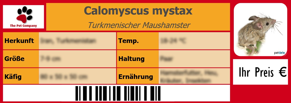 Calomyscus mystax Turkmenischer Maushamster 105 x 38 mm