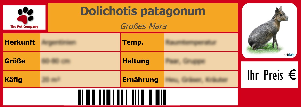 Dolichotis patagonum Großes Mara 105 x 38 mm