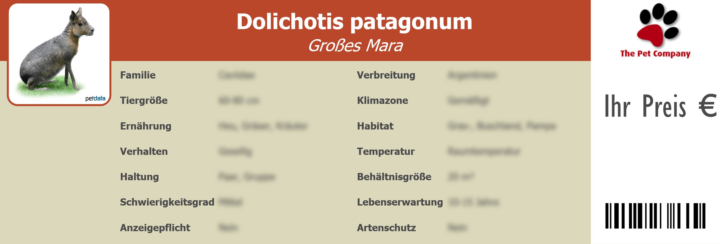 Dolichotis patagonum Großes Mara 195 x 66 mm