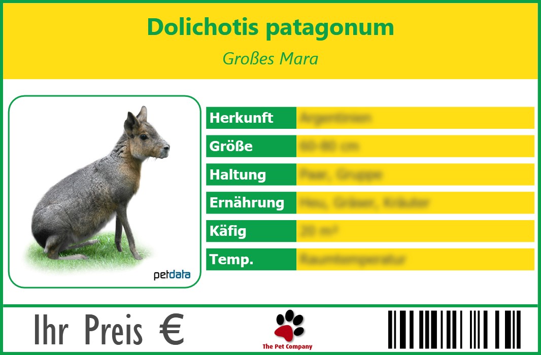 Dolichotis patagonum Großes Mara 90 x 60 mm