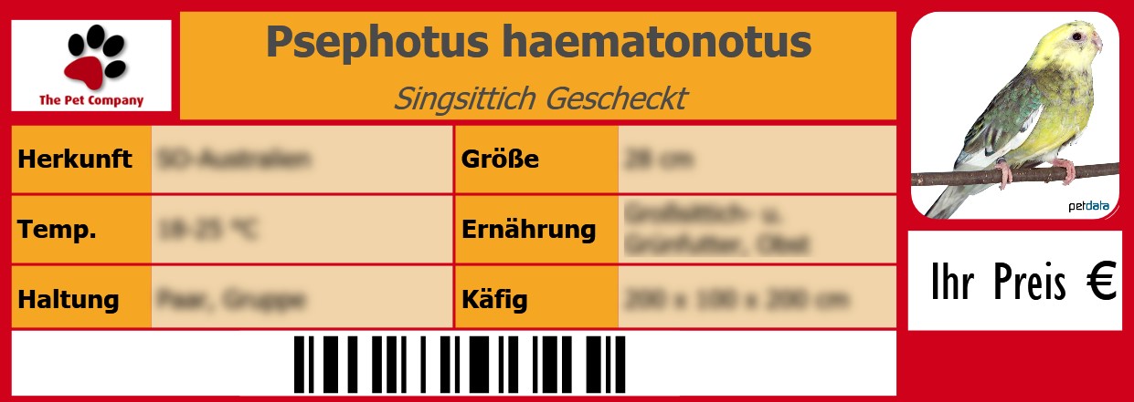 Psephotus haematonotus Singsittich Gescheckt 105 x 38 mm