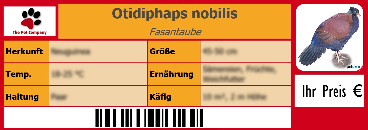 Otidiphaps nobilis Fasantaube 105 x 38 mm