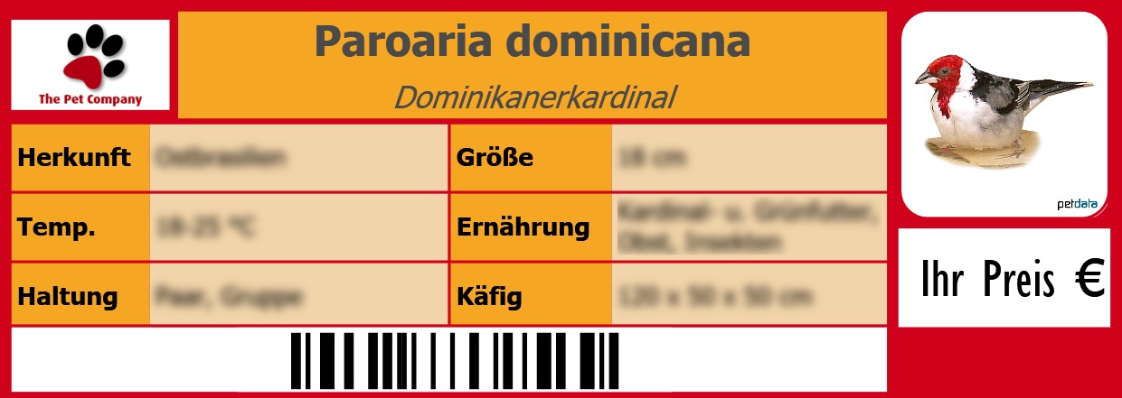 Paroaria dominicana Dominikanerkardinal 105 x 38 mm