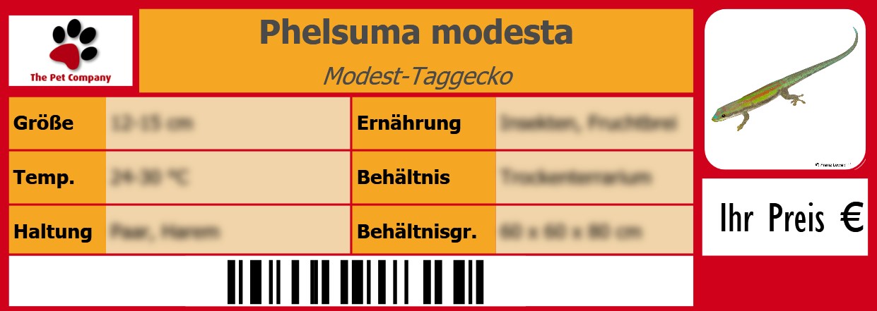 Phelsuma modesta Modest-Taggecko 105 x 38 mm