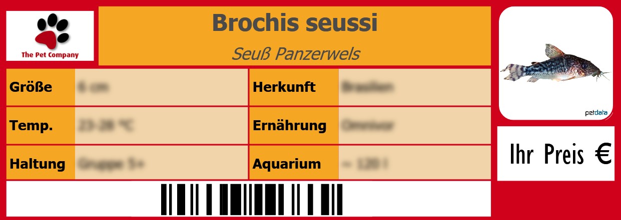 Brochis seussi Seuß Panzerwels 105 x 38 mm