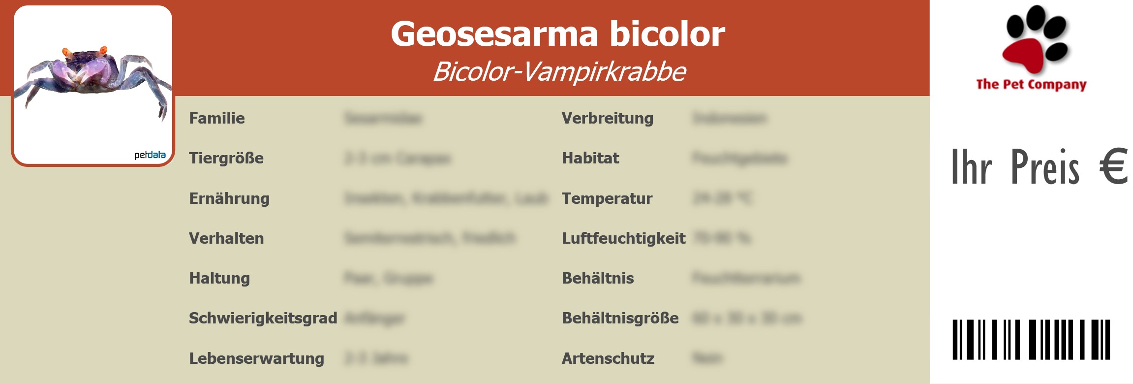 Geosesarma bicolor Bicolor-Vampirkrabbe 195 x 66 mm
