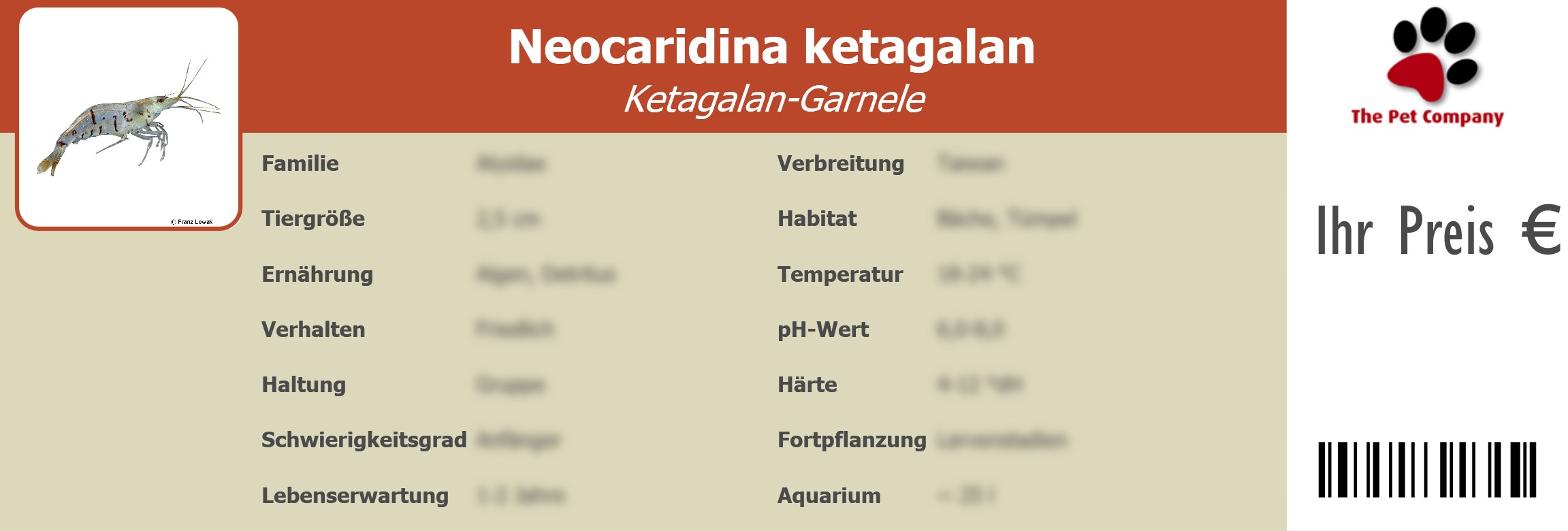 Neocaridina ketagalan Ketagalan-Garnele 195 x 66 mm