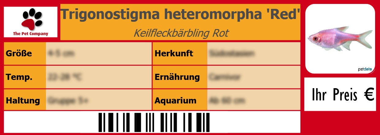 Trigonostigma heteromorpha 'Red' Keilfleckbärbling Rot 105 x 38 mm