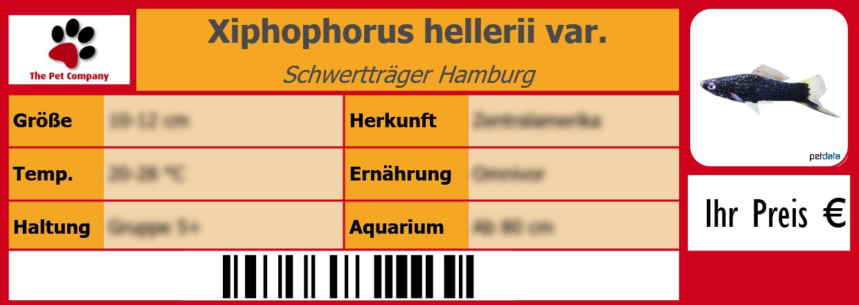 Xiphophorus hellerii var. Schwertträger Hamburg 105 x 38 mm