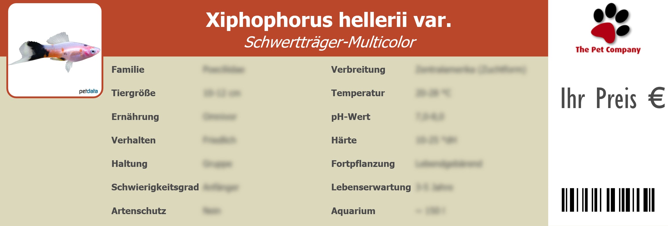 Xiphophorus hellerii var. Schwertträger-Multicolor 195 x 66 mm