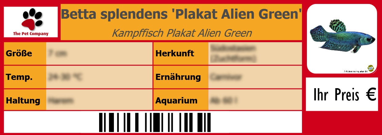 Betta splendens 'Plakat Alien Green' Kampffisch Plakat Alien Green 105 x 38 mm