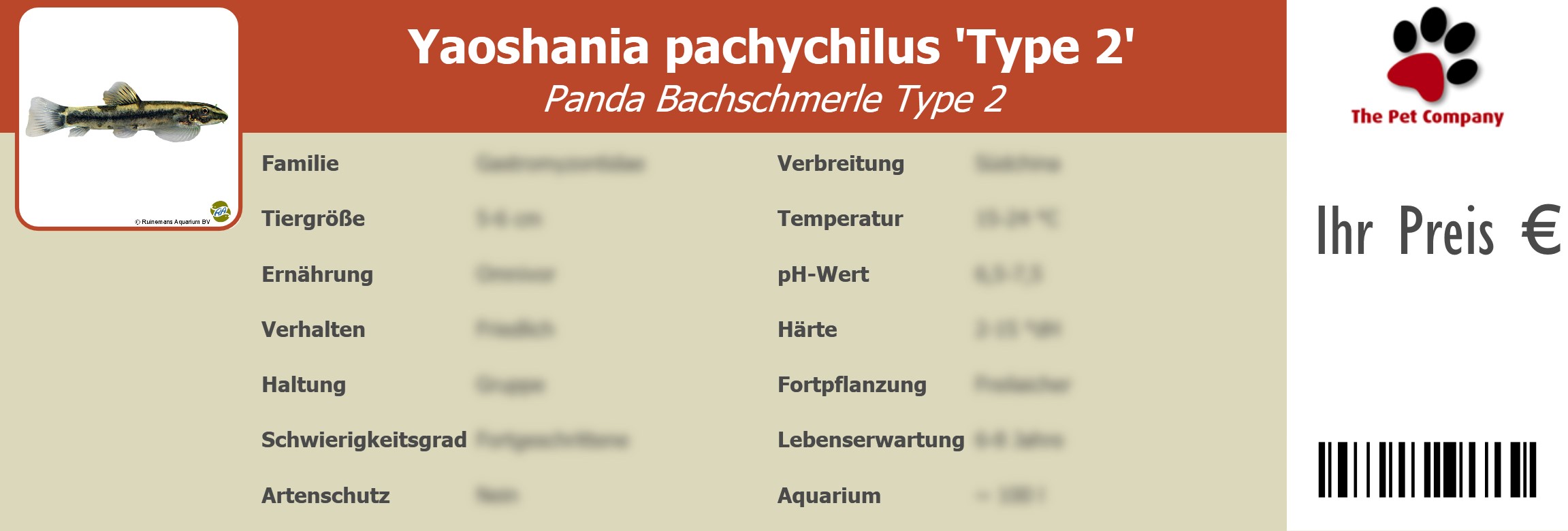 Yaoshania pachychilus 'Type 2' Panda Bachschmerle Type 2 195 x 66 mm