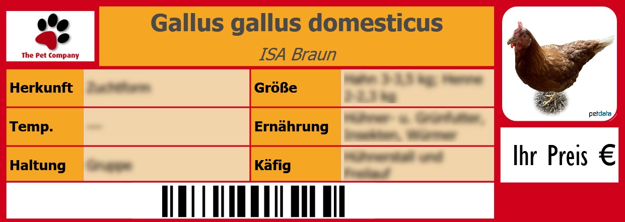 Gallus gallus domesticus ISA Braun 105 x 38 mm
