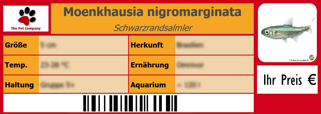 Moenkhausia nigromarginata Schwarzrandsalmler 105 x 38 mm