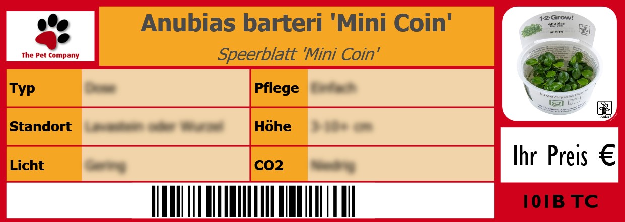 Anubias barteri 'Mini Coin' Speerblatt 'Mini Coin' 105 x 38 mm