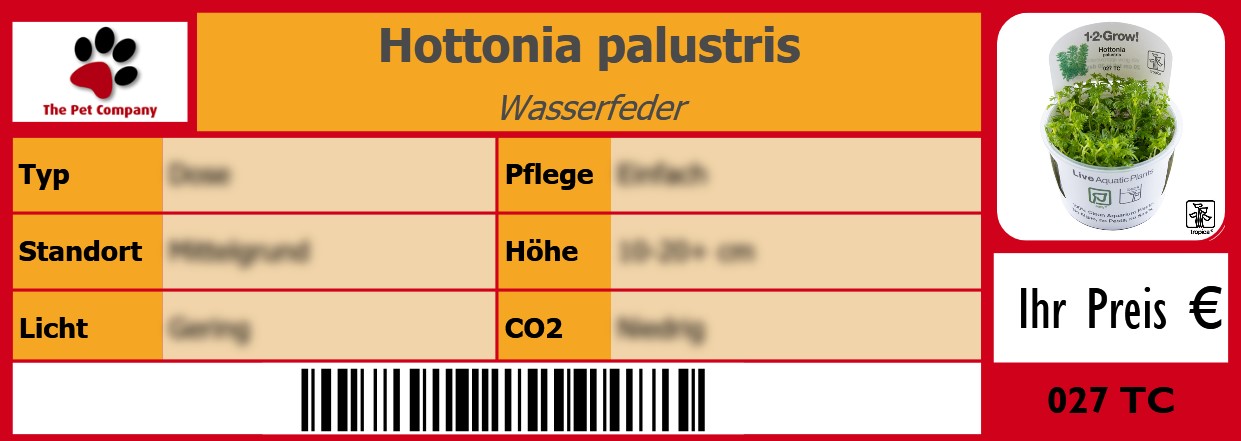 Hottonia palustris Wasserfeder 105 x 38 mm