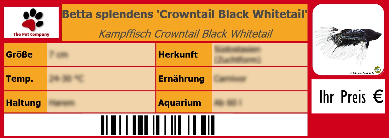 Betta splendens 'Crowntail Black Whitetail' Kampffisch Crowntail Black Whitetail 105 x 38 mm