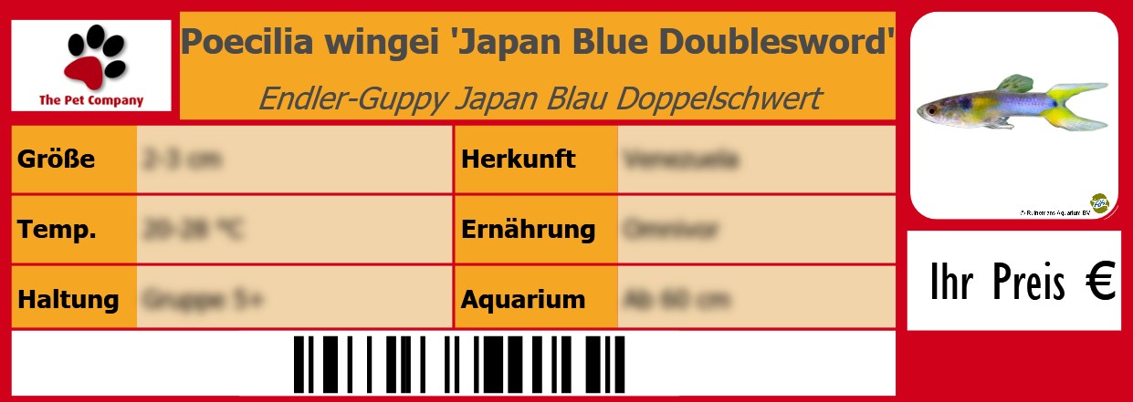 Poecilia wingei 'Japan Blue Doublesword' Endler-Guppy Japan Blau Doppelschwert 105 x 38 mm
