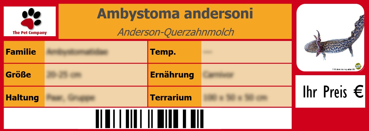 Ambystoma andersoni Anderson-Querzahnmolch 105 x 38 mm