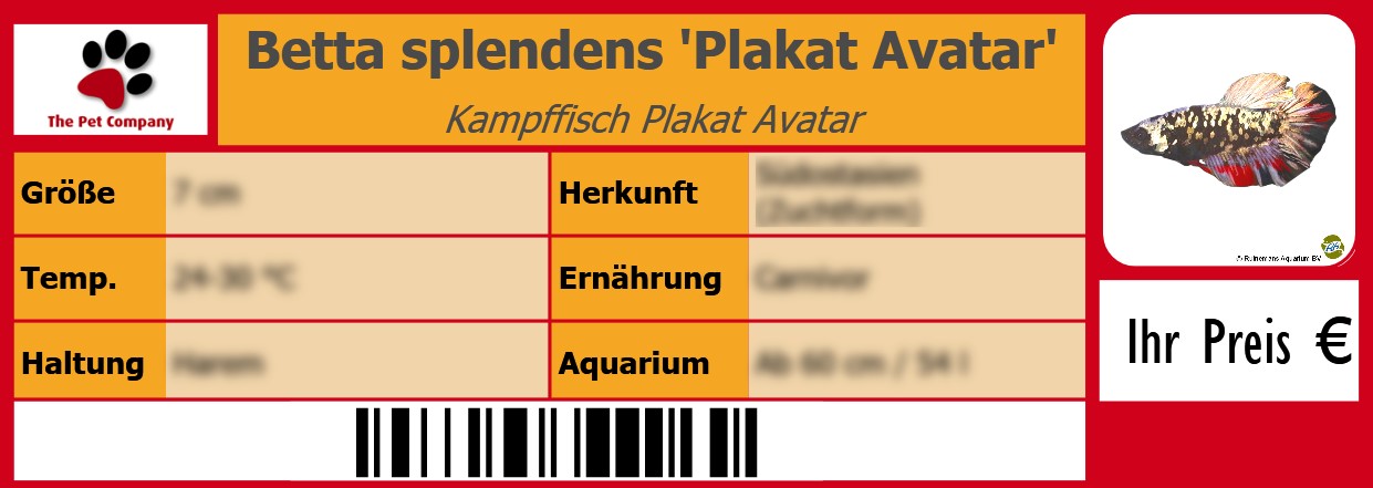 Betta splendens 'Plakat Avatar' Kampffisch Plakat Avatar 105 x 38 mm