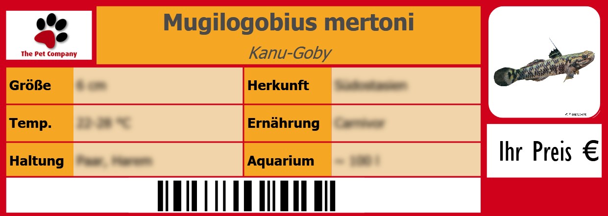Mugilogobius mertoni Kanu-Goby 105 x 38 mm