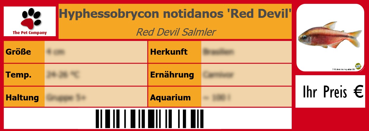 Hyphessobrycon notidanos 'Red Devil' Red Devil Salmler 105 x 38 mm