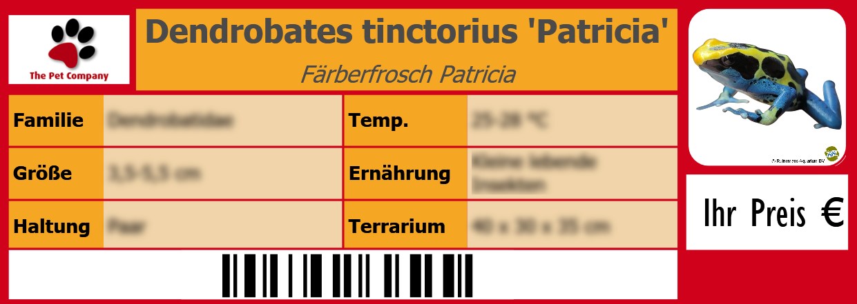 Dendrobates tinctorius 'Patricia' Färberfrosch Patricia 105 x 38 mm