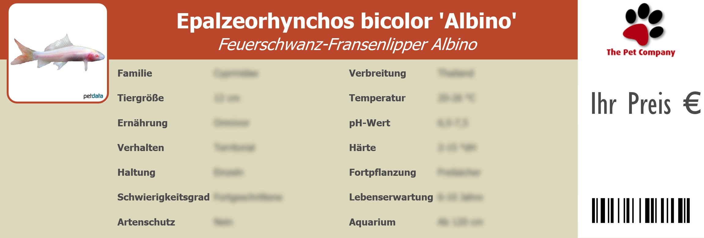 Epalzeorhynchos bicolor 'Albino' Feuerschwanz-Fransenlipper Albino 195 x 66 mm