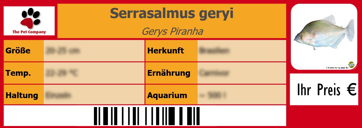 Serrasalmus geryi Gerys Piranha 105 x 38 mm