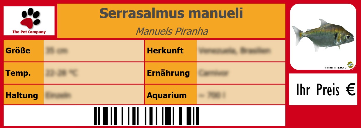 Serrasalmus manueli Manuels Piranha 105 x 38 mm