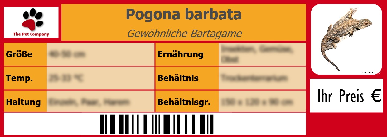 Pogona barbata Gewöhnliche Bartagame 105 x 38 mm