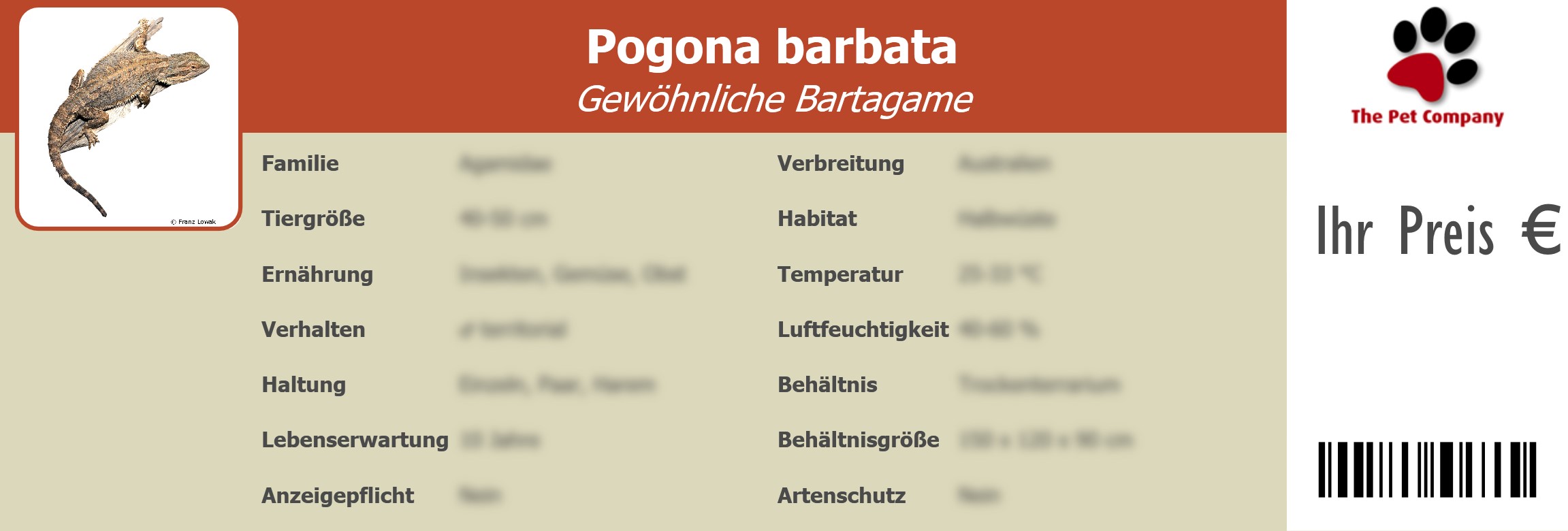 Pogona barbata Gewöhnliche Bartagame 195 x 66 mm