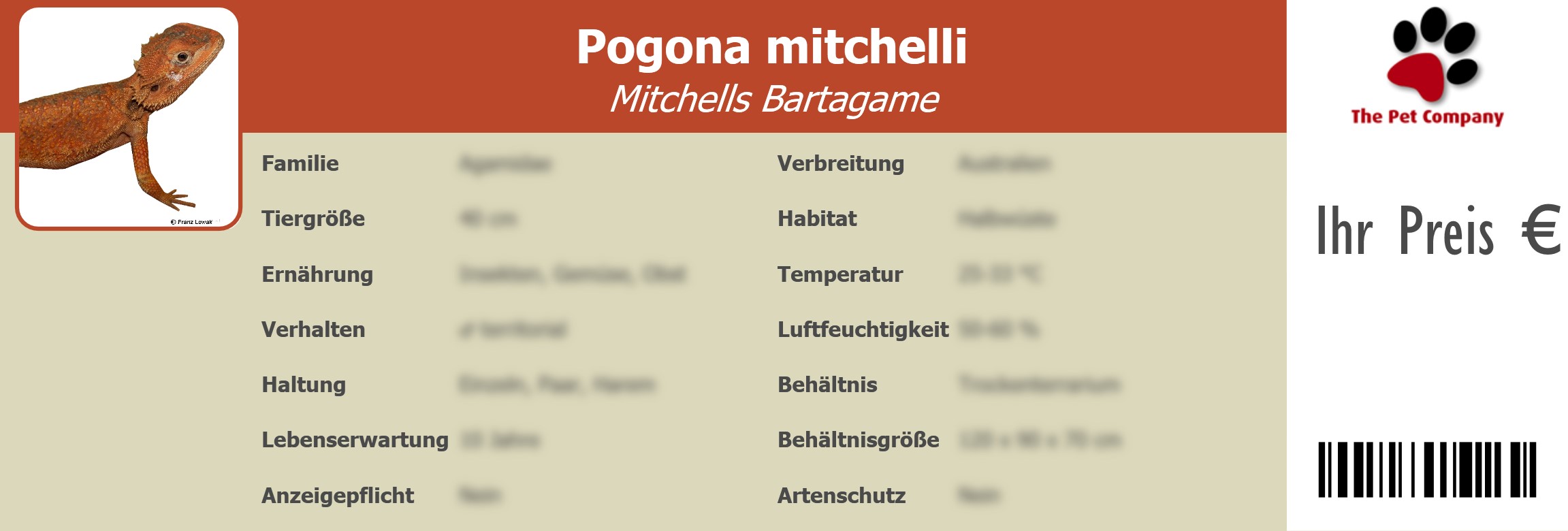 Pogona mitchelli Mitchells Bartagame 195 x 66 mm