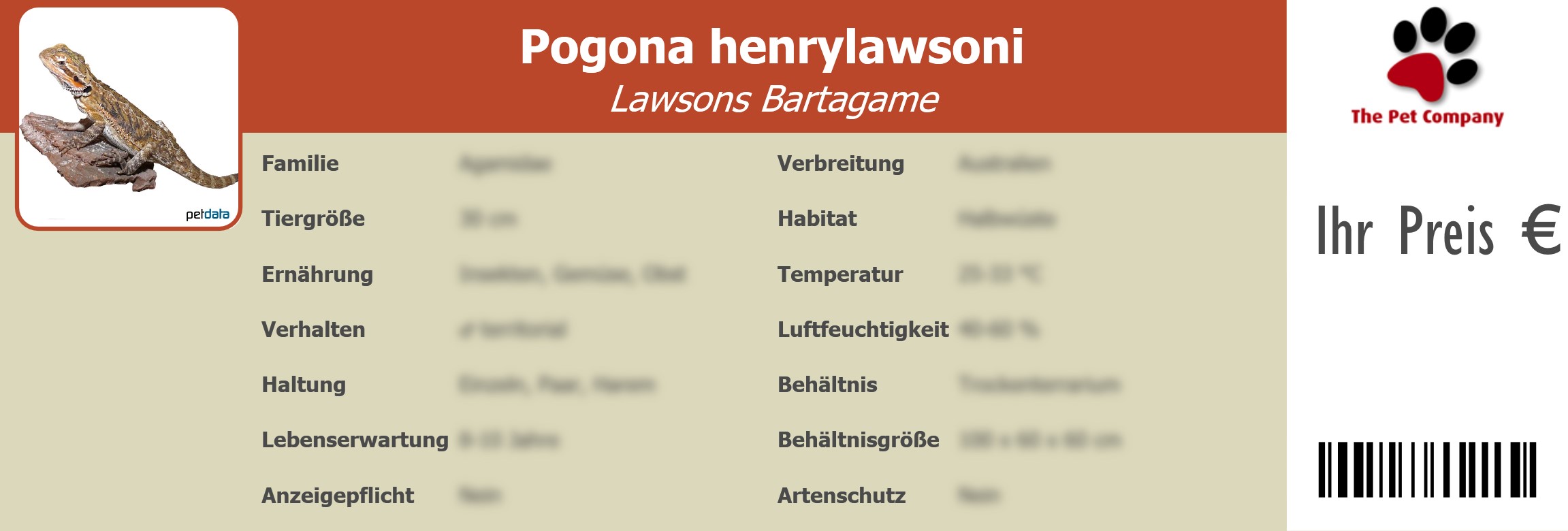 Pogona henrylawsoni Lawsons Bartagame 195 x 66 mm