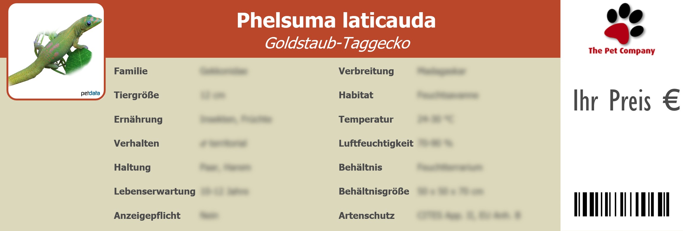 Phelsuma laticauda Goldstaub-Taggecko 195 x 66 mm