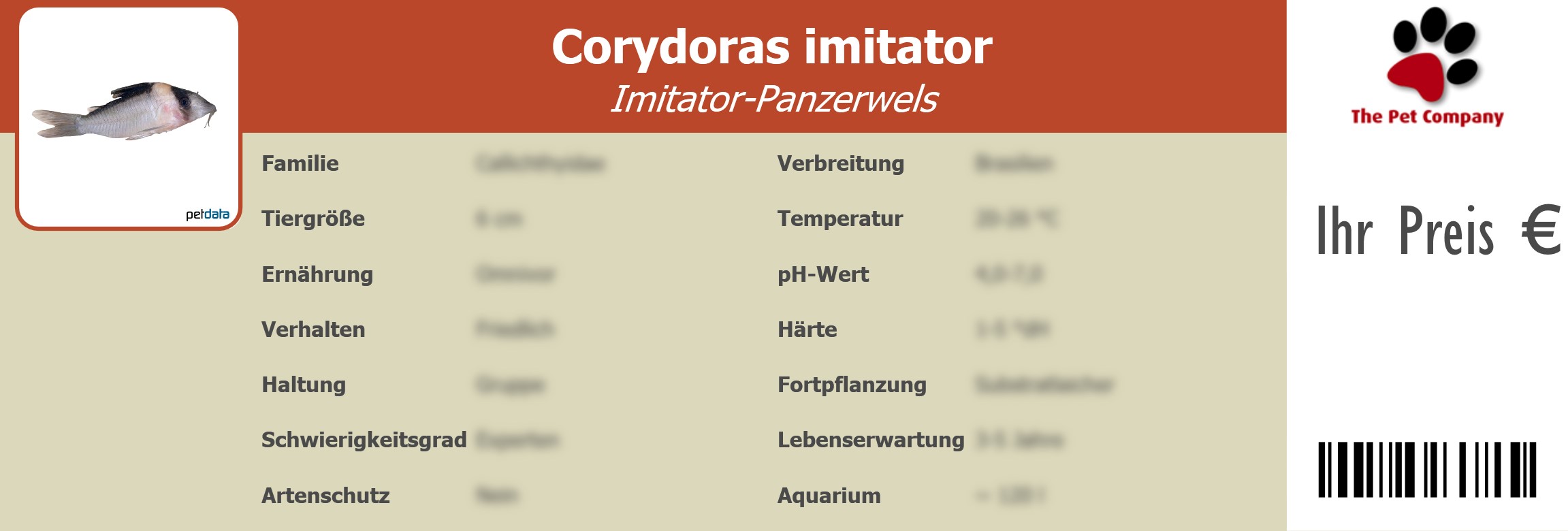 Corydoras imitator Imitator-Panzerwels 195 x 66 mm