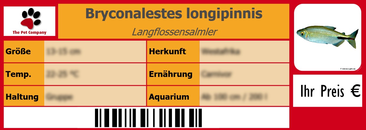 Bryconalestes longipinnis Langflossensalmler 105 x 38 mm